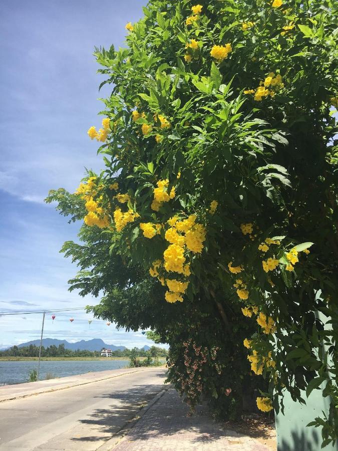 Hoa Vang Riverside Villa ฮอยอัน ภายนอก รูปภาพ